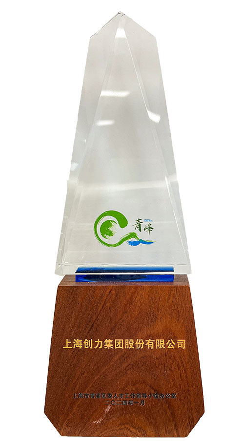 喜報！上海創(chuàng)力集團(tuán)榮獲2023年度青浦區(qū)百強(qiáng)優(yōu)秀企業(yè)等三項(xiàng)大獎(圖3)